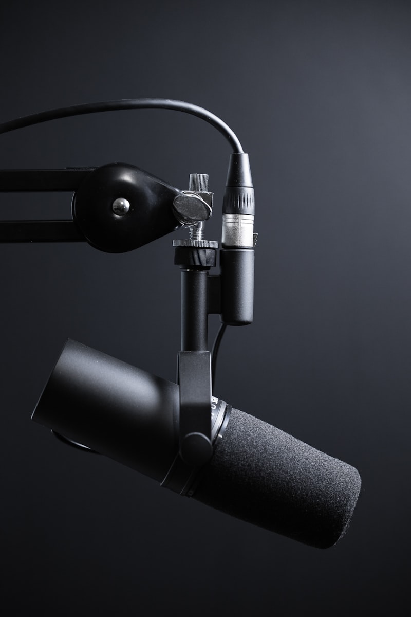 Un microphone de studio professionnel